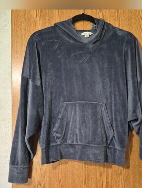 American Eagle Outfitters Velvet Crewneck Hoodie - Slate Blue XS